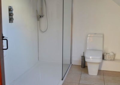 Walk-in shower next to toilet