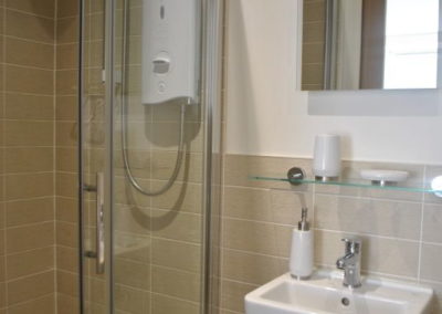 Walk-in shower next to modern sink and wall-mounted mirror