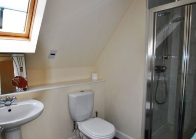 Walk-in shower on right, sink and toilet on left beneath slightly sloping ceiling.