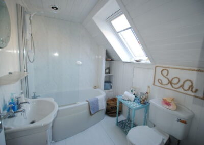 Corner bath with shower beneath a roof window.