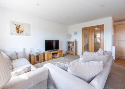 Twin sofas, large TV, painting of highland cow