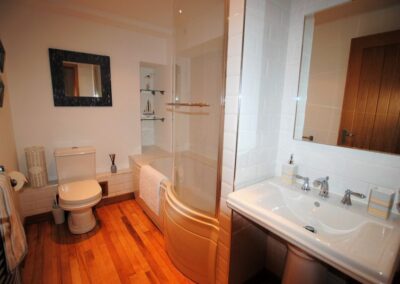 Bath with shower and screen, toilet, towel rail and sink