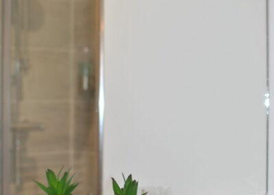 Plant and two glasses in front of mirror in bathroom.