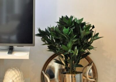 A plant in a pot on the floor next to the TV stand
