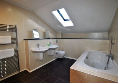 Double sinks on one wall beneath sloped ceiling with roof window. Large bath opposite sinks.