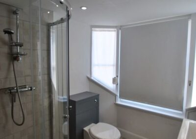 Walk-in shower, toilet and sink