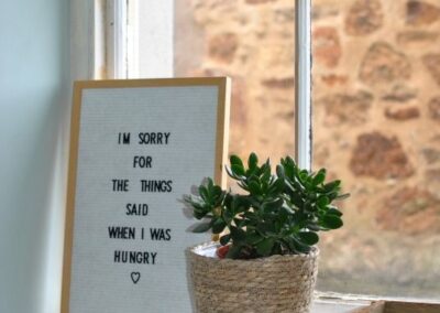 Plant pot on window ledge with sign that reads Im sorry for the things said when I was hungry