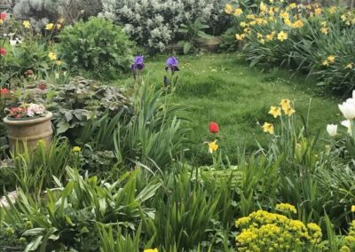 Garden filled with daffodils, tulips and other flowers.