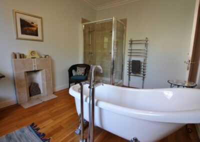 Standalone bath tub with walk-in shower in the corner.