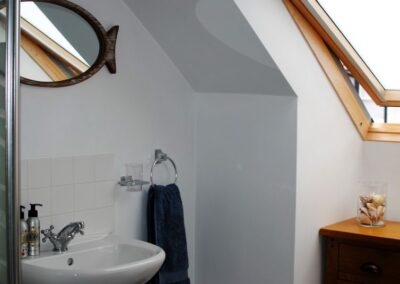 Oval mirror above sink. Velux-style window.