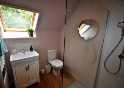 View from walk-in shower through shower screen towards lavatory and sink beneath a sloped roof.