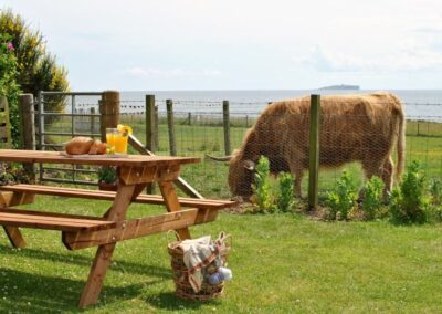 A loaf of bread and two glasses of orange juice sit on the picnic table in the garden. A highland cow grazes in the field beyond.