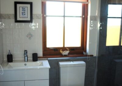 Walk-in shower to the right of a white sink and lavatory.