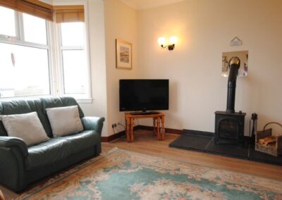 Jade-coloured leather sofa in bay window next to TV and stove.