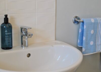 Close up of sink with liquid soap and blue and white towel on a rail.